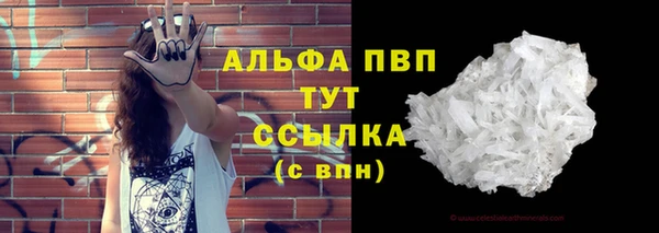 ГАЛЛЮЦИНОГЕННЫЕ ГРИБЫ Новозыбков