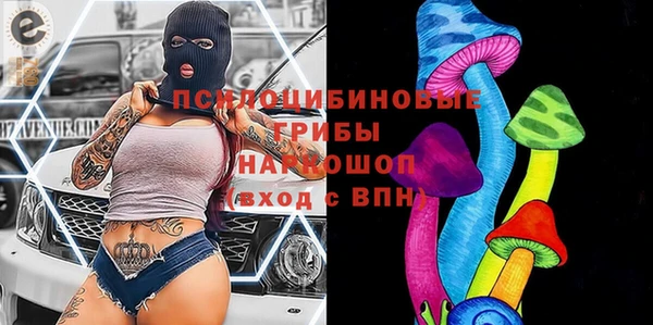 MDMA Новодвинск