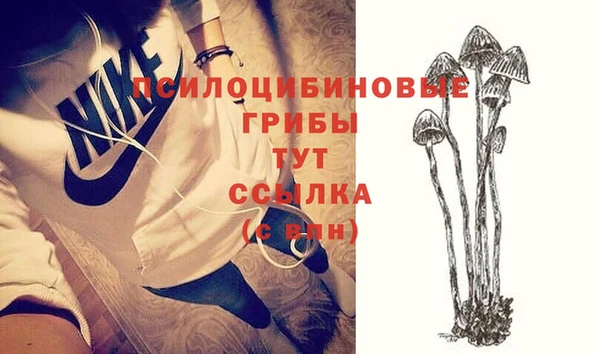 ГАЛЛЮЦИНОГЕННЫЕ ГРИБЫ Новозыбков