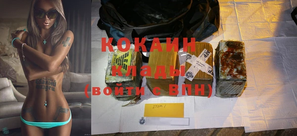 ГАЛЛЮЦИНОГЕННЫЕ ГРИБЫ Новозыбков