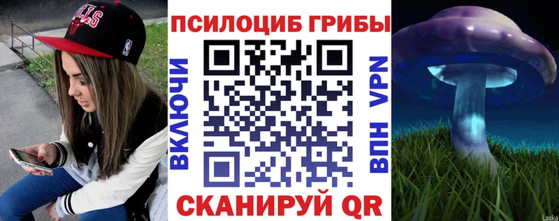 Галлюциногенные грибы Cubensis  Сыктывкар 