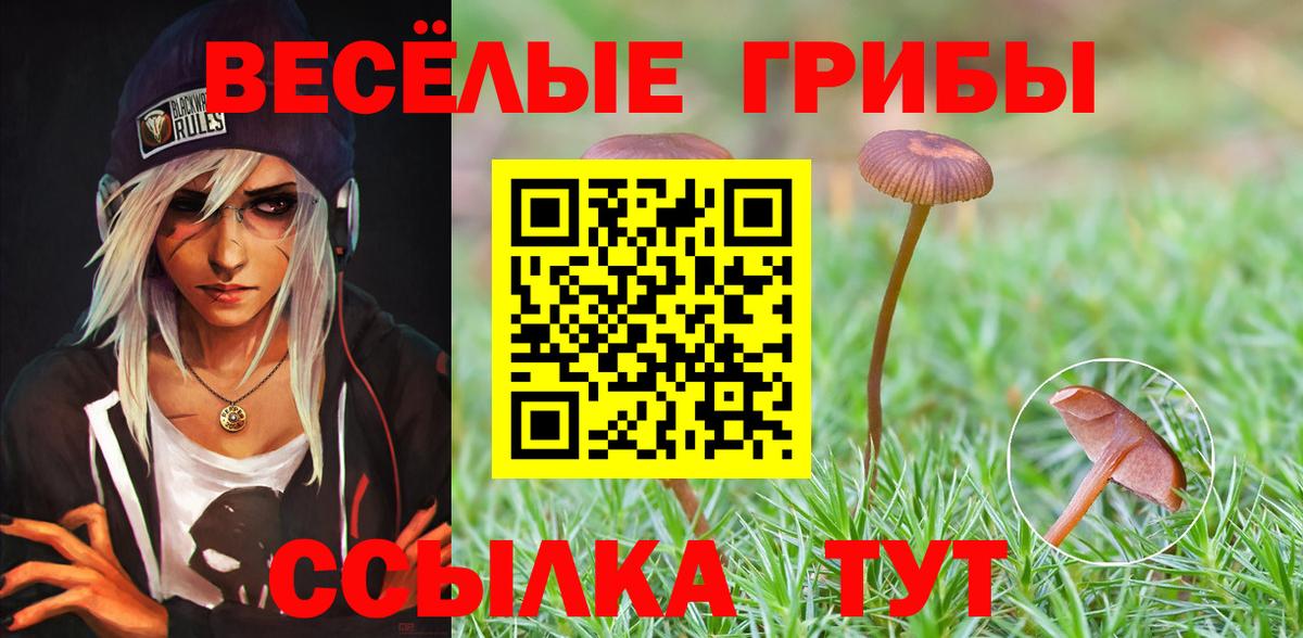 Псилоцибиновые грибы мицелий  Псилоцибиновые грибы мухоморы  Сыктывкар  Вход с VPN 