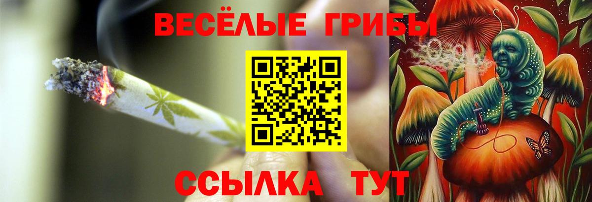 Псилоцибиновые грибы прущие грибы Сыктывкар